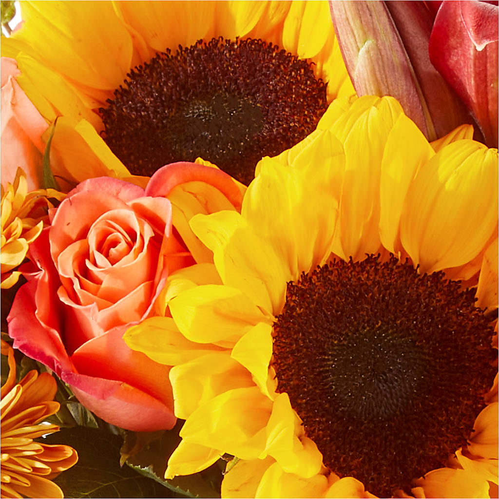 Acorn Lane Bouquet – PRETTY PETALS FLOWERS & GIFTS, Olla LA