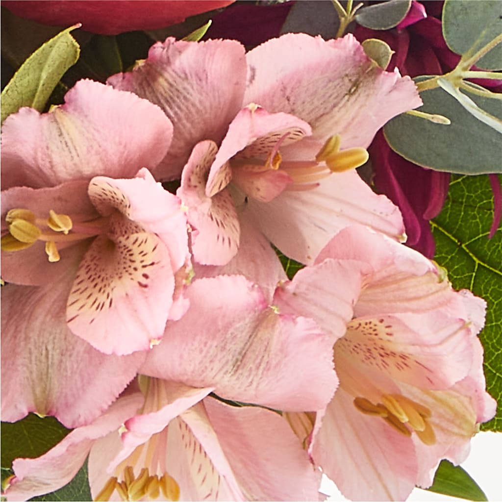 Berry Cobbler Bouquet – PRETTY PETALS FLOWERS & GIFTS, Olla LA